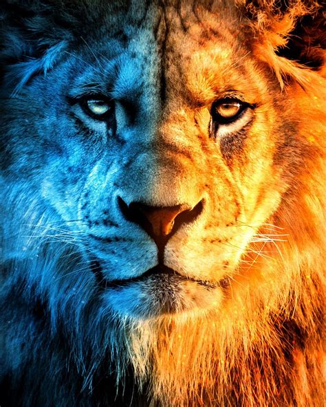 Discover More Than 59 Fire Lion Wallpaper Latest In Cdgdbentre