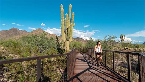 Top 10 Things To See And Do In Scottsdale Official Travel Site For