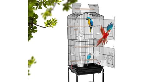 Best Parrot Cage Get A First Rate Home For Your Bird Petsradar