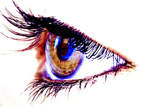 Free Images Eyelid Eyelash Human Body Illustration Iris Eye