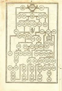 Adam Genealogy Chart