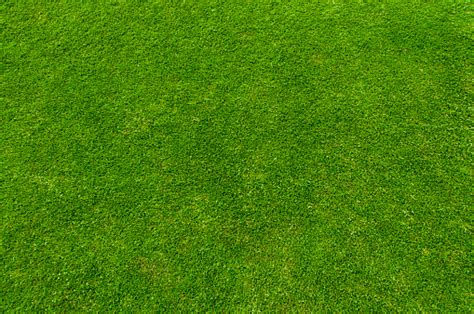 Green Grass Stock Photo Download Image Now Grass Lawn Textured