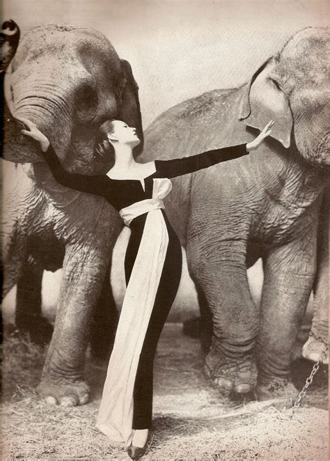 Devodotcom Dovima With Elephants Evening Dress By Dior Cirque D