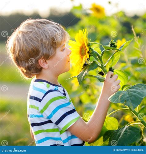 Adorable Little Blond Kid Boy On Summer Sunflower Field Outdoors Cute