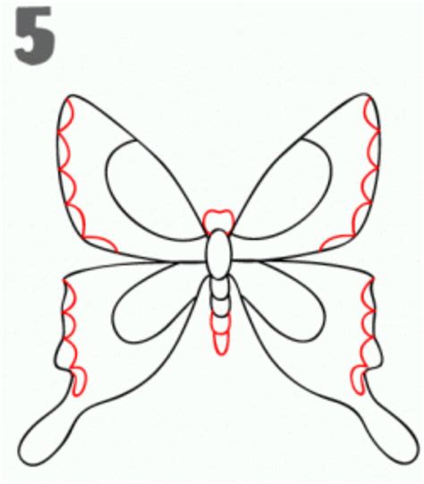 Dari video, kata +98 gambar sketsa kupu.da. Menggambar sketsa kupu-kupu | INFOZANI