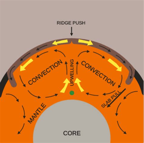 Tectonic Plate Motions Ck 12 Foundation