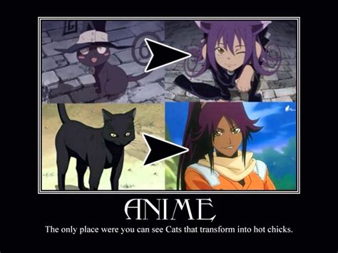 Cats Turn To Anime Chicks Meme Anime Amino