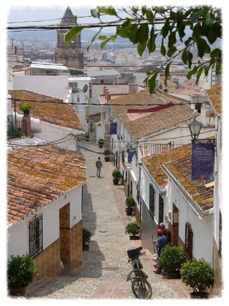 Professional trader with over 30 years of experience. Vélez Málaga aan de Costa del Sol, Spanje | Ontdek-spanje.nl