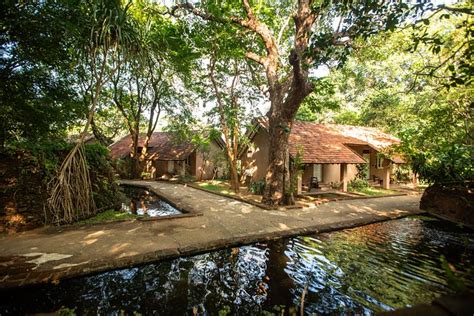 Sigiriya Village Hotel 55 ̶1̶4̶6̶ Updated 2023 Prices And Reviews