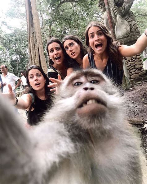 Monkey Forest Ubud Sensasi Selfie Bersama Monyet Kra Yang Viral
