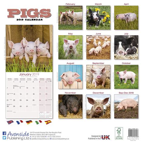 Pigs Calendars 2021 On Ukpostersukposters