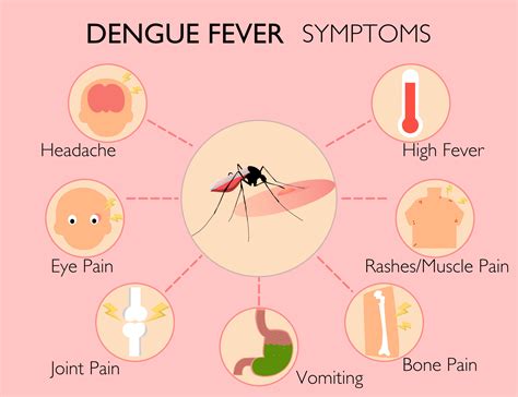 Dengue Fever Causes