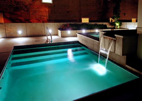 Inground Pool Traditional Pool Chicago By Platinum Poolcare