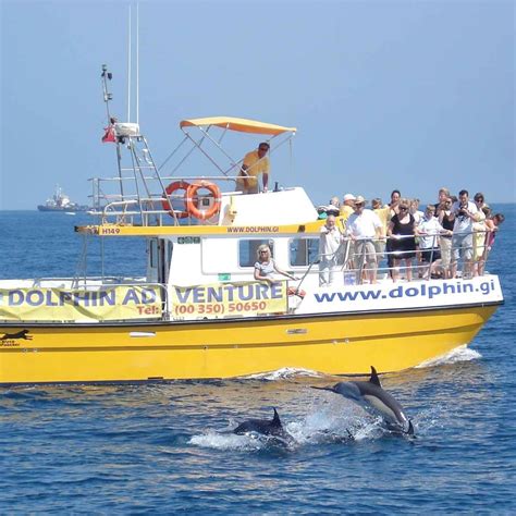 Dolphin Adventure Activities With Kids Around Sotogrande