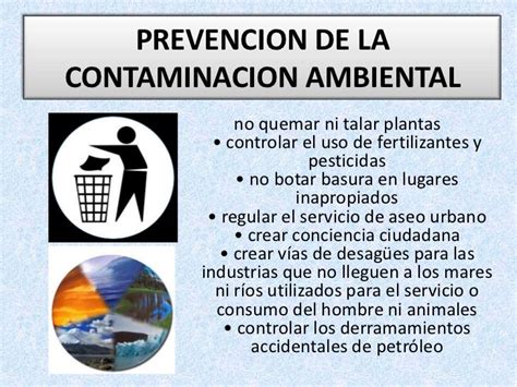 Mapa Conceptual Sobre La Contaminaci N Ambiental Gu A Completa