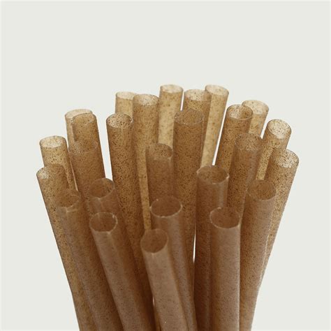 100 Pcs 8 Biodegradable Sugarcane Straws Natural Plant Based