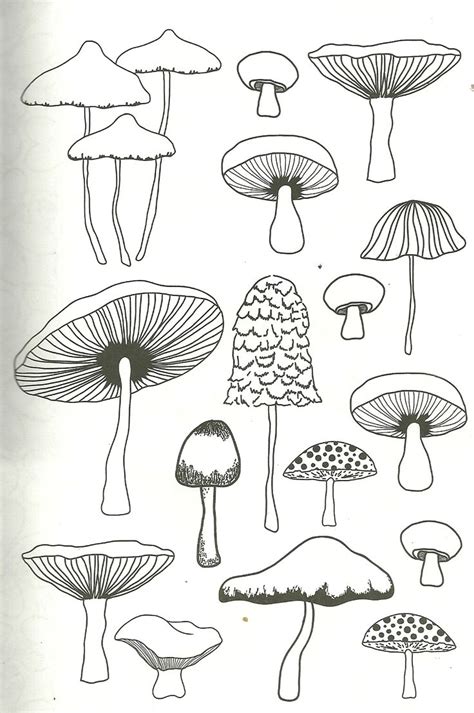 mushroom coloring page for adults | Line art drawings, Mushroom drawing