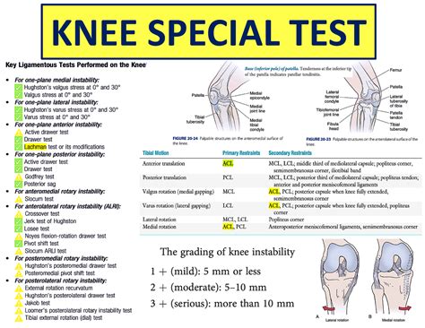 Physical Therapy Interventions Knee Special Test Knee Special Test Q