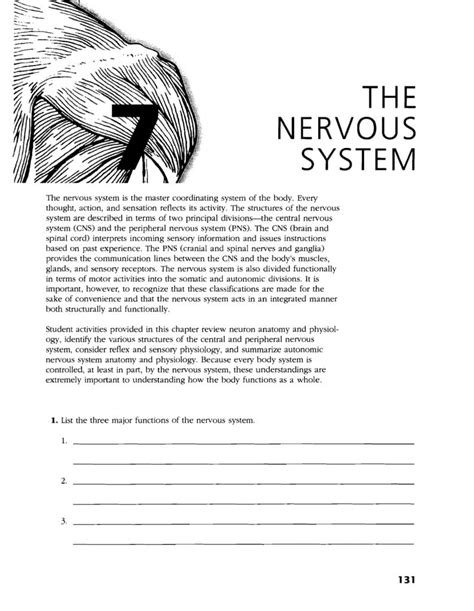Nervous System Worksheet Pdf Answers