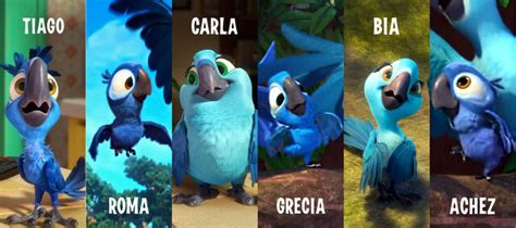 Image The Little Spixs Macaws Rio Wiki Fandom Powered By Wikia