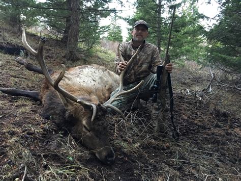 Willow Creek Ranch Deer And Elk Hunting In Idaho Semi Guided And Self