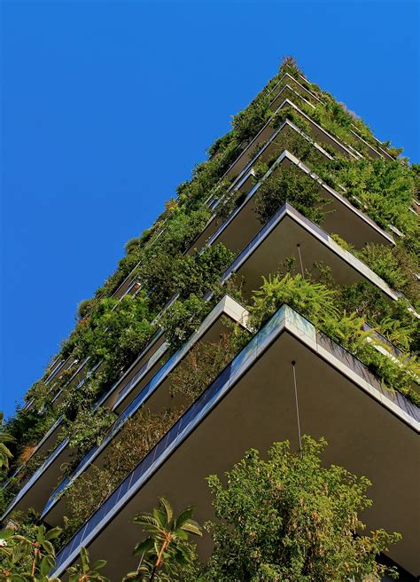 Green Roofs Why Cities Should Adopt Them Greenroofs