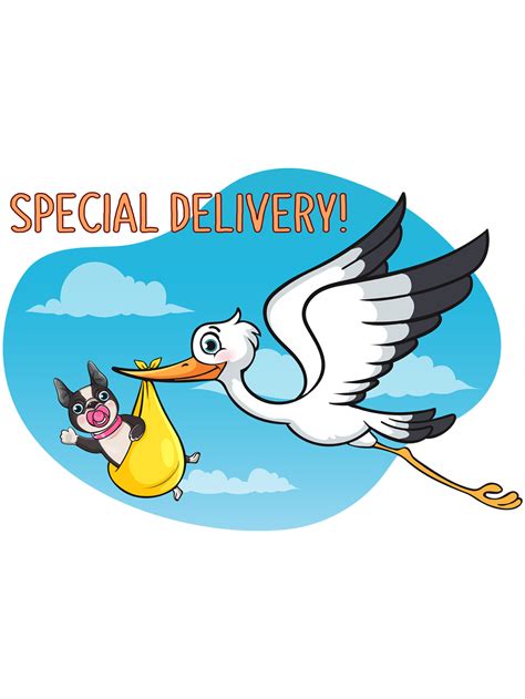 New Baby - Special Delivery! - Funny Bonz Cards