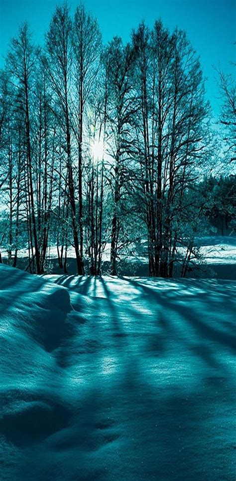Winter Scene wallpaper by _LuCkyman_ - 762e - Free on ZEDGE™