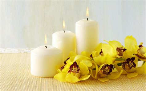 Orchid And Candles Flowers Wallpaper 31100036 Fanpop Page 11