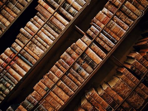 Энциклопедии и познавательные книги | Многоязычные дети