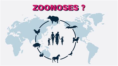 World Zoonoses Day Why Is It Important In Covid Times Healthkart