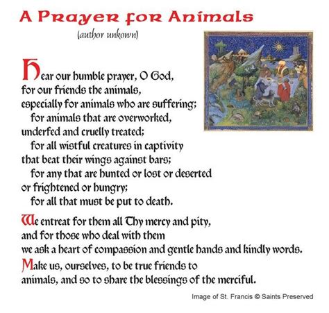 These short powerful prayers for surgery to go well will help to bring the lord's covering to you for your protection. A prayer for dogs and animals that are in need of healing ...