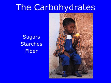 The Carbohydrates Sugars Starches Fiber