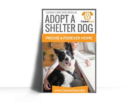 Pet adoption animal shelter brochure. Pet Adoption Shelter Poster Template | MyCreativeShop