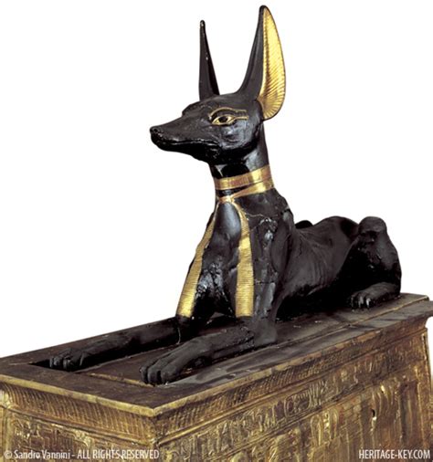 Figlio di osiride ed iside e vendicatore del padre nei confronti di in generale, la storia di horus è la seguente: Anubis | Electing History