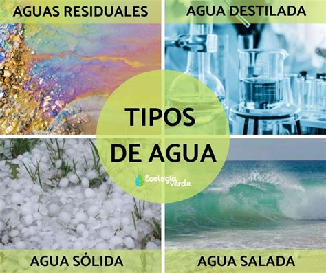 17 Tipos De Agua Clasificación Nombres Características Y Fotos