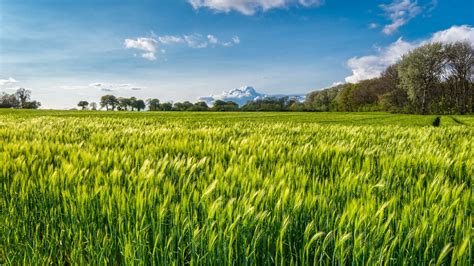 Wide Open Fields Open Field Fields Open