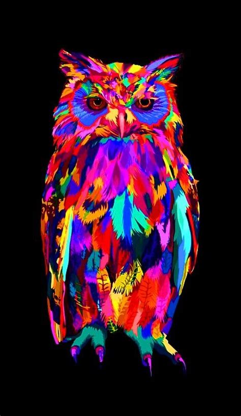 De Larc En Ciel Rainbow Colors Owl Color Pinterest