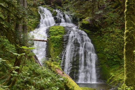 Waterfall In The Ford Pinchot National Forest