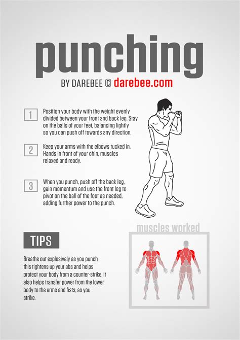 Punching Guide Martial Arts Workout Boxing Training Workout Boxing