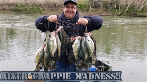 River Crappie Fishing Madness Youtube