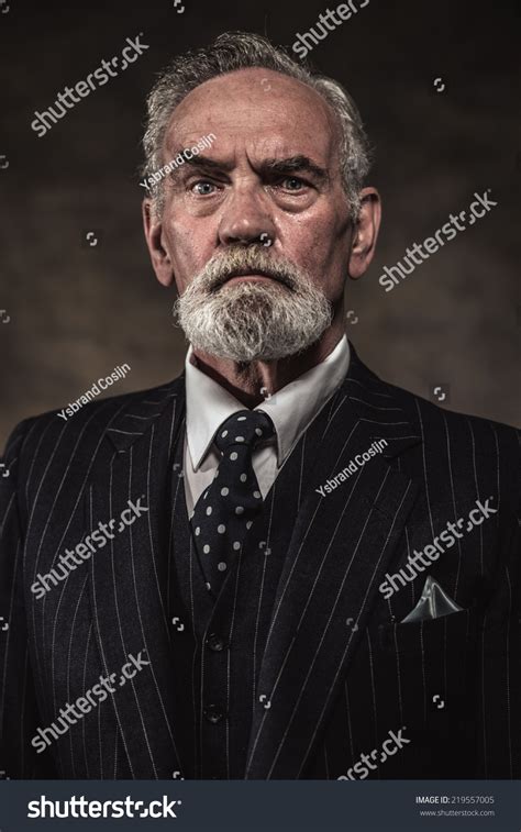 Characteristic Senior Business Man Gray Hair Stock Photo 219557005
