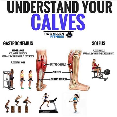 Achieve Diamond Shaped Calves With These Useful Calf Exercises