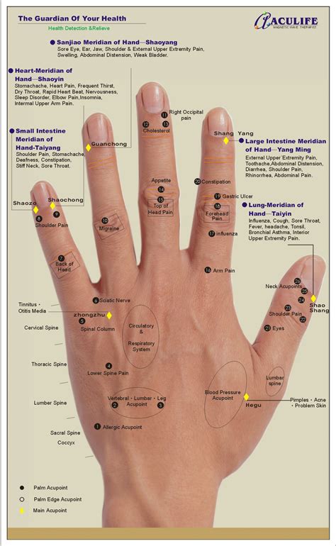 Hand Reflexology Points Hand Reflexology Reflexology Hand Chart Reflexology Chart