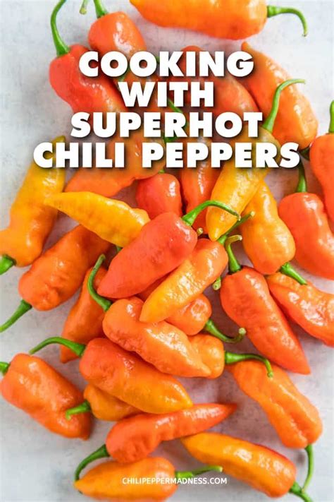 Tips For Cooking With Superhot Chili Peppers Super Hot Peppers Stuffed Peppers Chili Pepper
