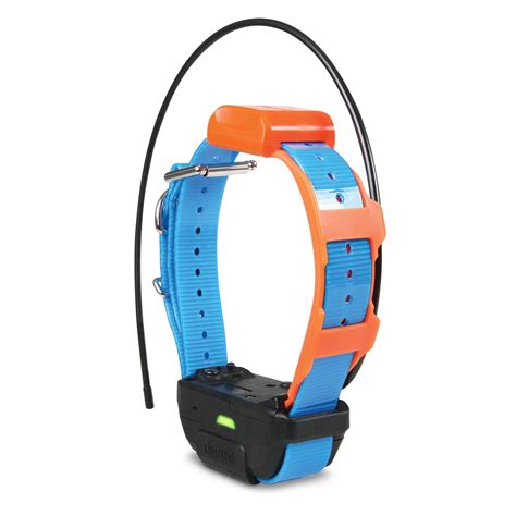 Dogtra Gps Tracking And E Collar For Remote Dog Training Blue