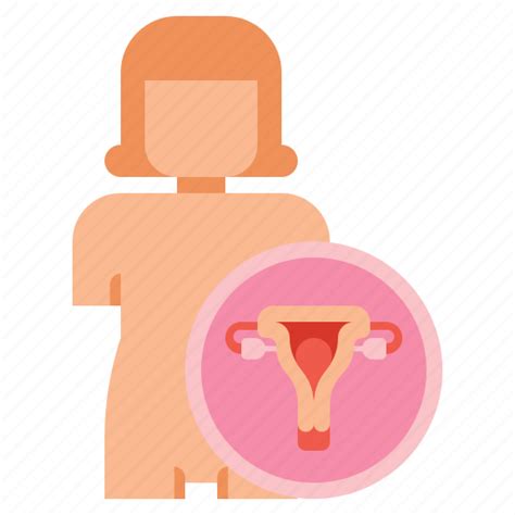 Anatomy Medical Reproductive System Icon