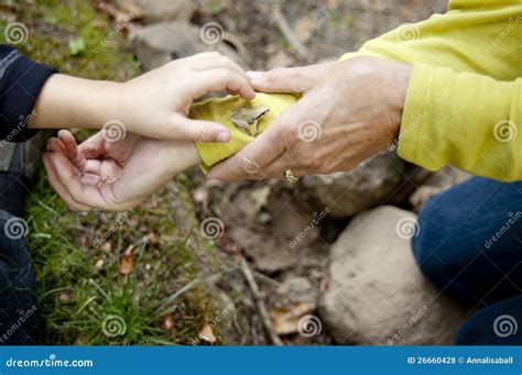 Discovering Nature With Kids Stock Photo Image Of Exploring