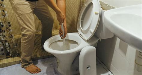 Prevent Clogged Toilets And Other Bathroom Mishaps