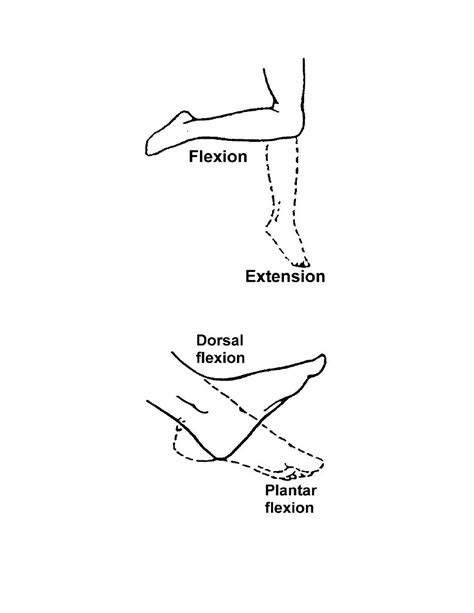 As i've explained in earlier articles my tkr was a result of sports injuries suffered 40 plus years ago. Figure 2-19. Range-of-motion exercises for the knee ...